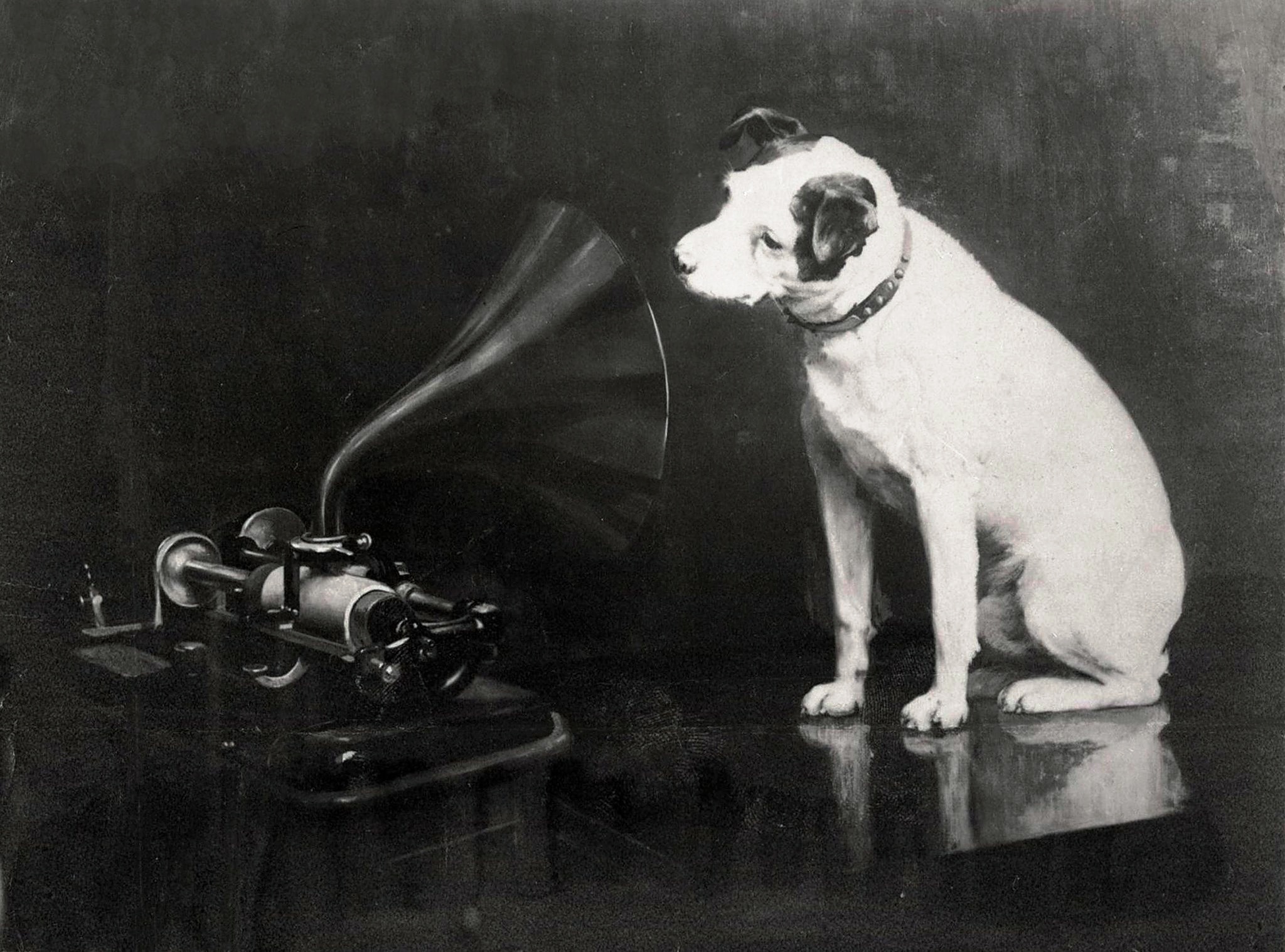 Nipper by Francis Barraud. In the early version, the dog faces an Edison Bell cylinder phonograph.