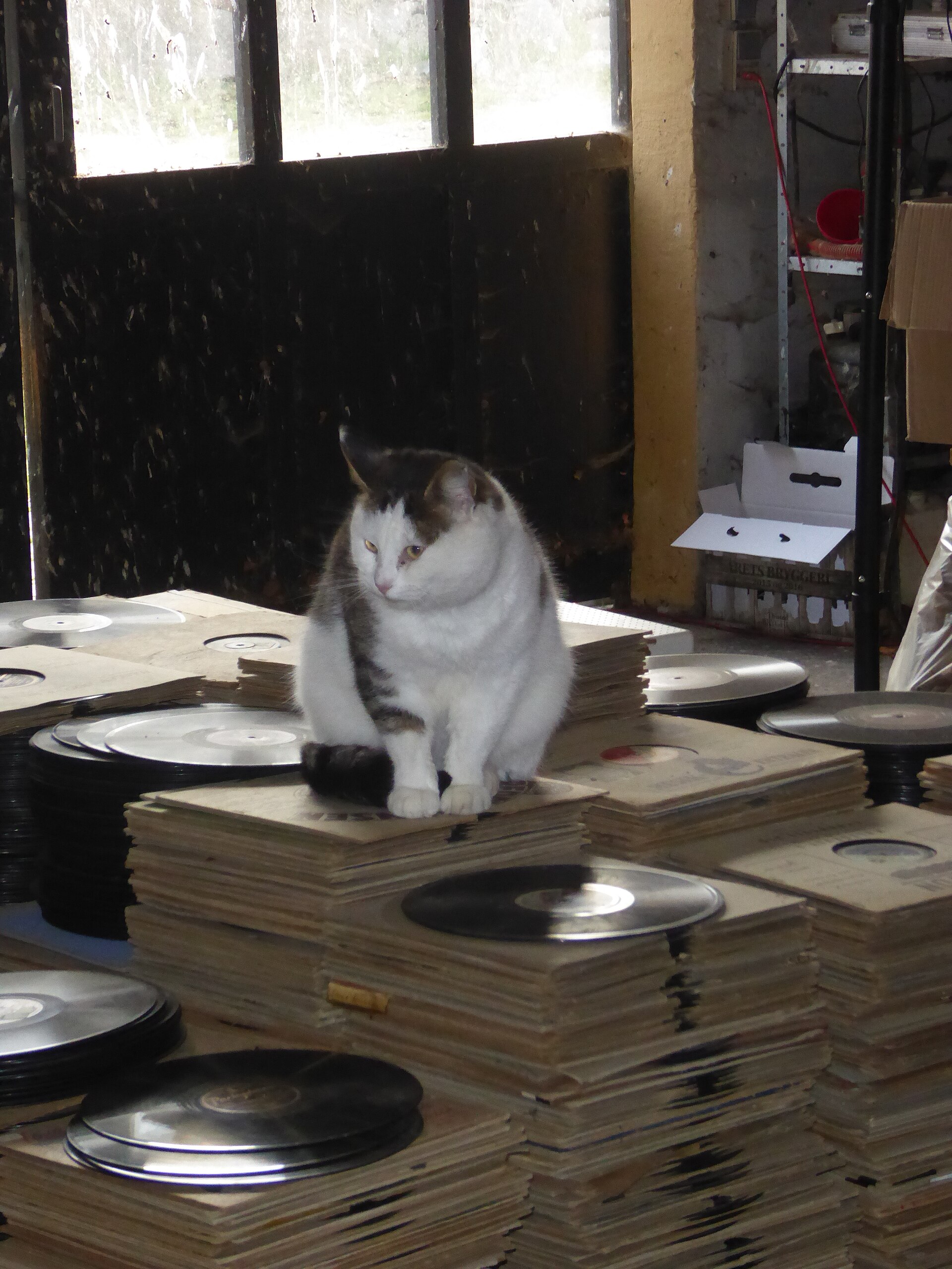 Old records piled in a warehouse, stored in crude conditions